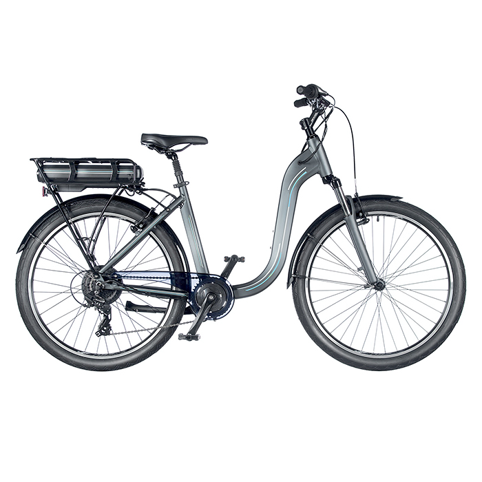 ���������������� FGS-4