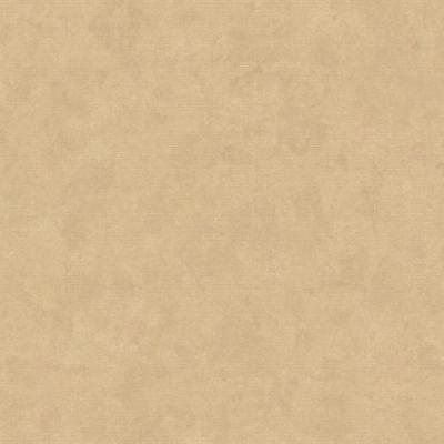 ������������ ���� Syrria