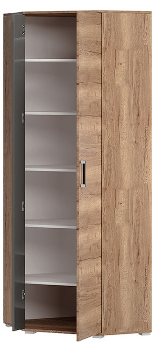 ���� �������