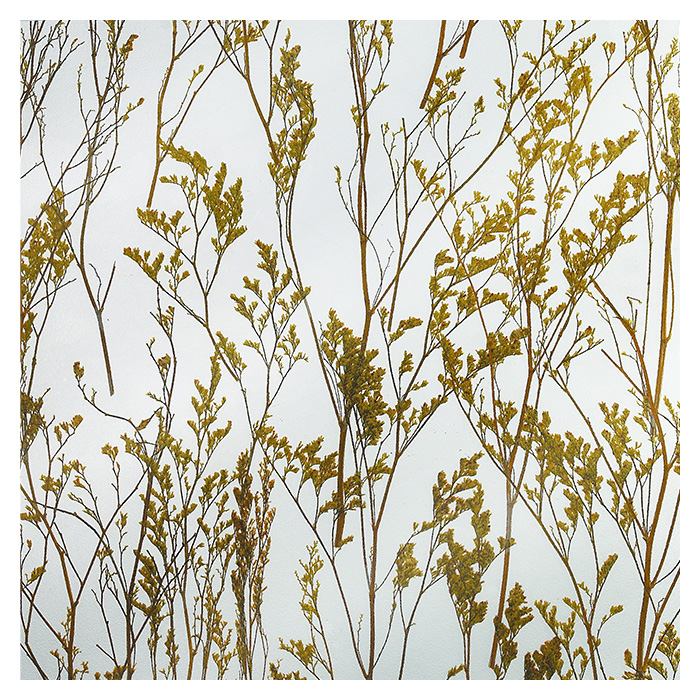 ������ �� ������ Polus-AM